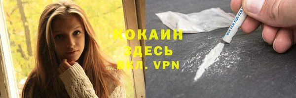 соль ск Алексин