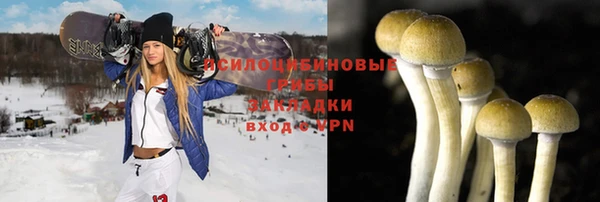 прущая мука Алзамай