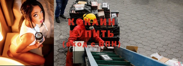 соль ск Алексин