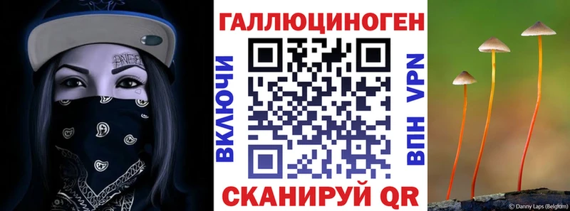 кракен ССЫЛКА  Орлов  Псилоцибиновые грибы Psilocybe 